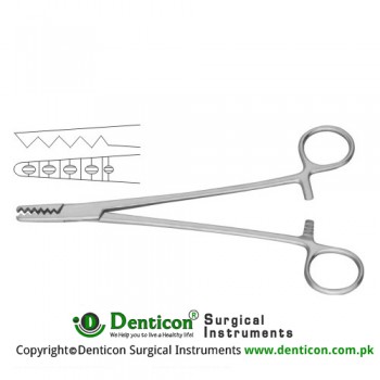 Martin Catrilage Seizing Forcep Stainless Steel, 18.5 cm - 7 1/4"